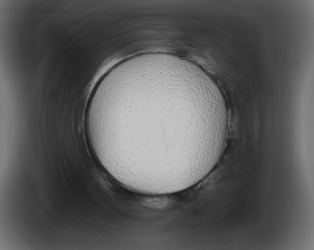 X0000082980099200703020306