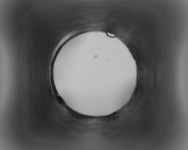 X0000082980100200703020306