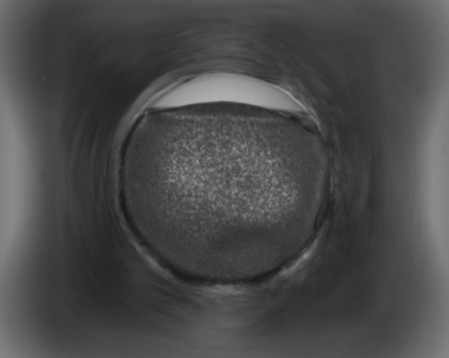 X0000082980101200703020306