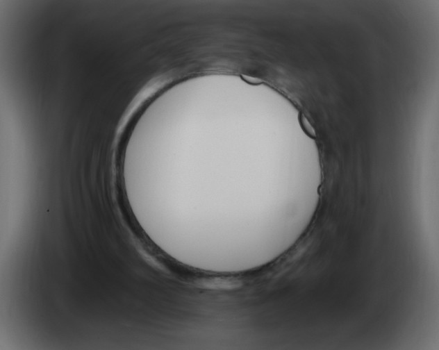 X0000082980102200703020306
