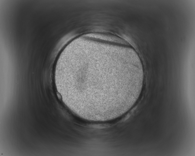 X0000082980103200703020306