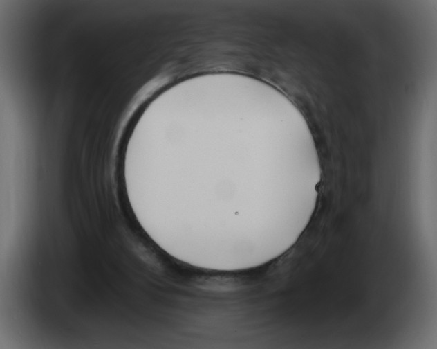 X0000082980104200703020306