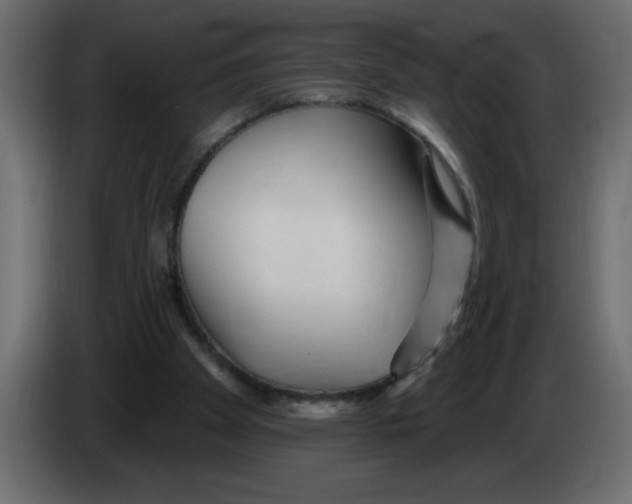 X0000082980105200703020306