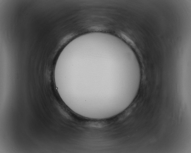 X0000082980106200703020306