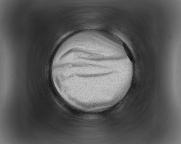 X0000082980107200703020306