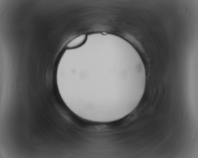 X0000082980108200703020306