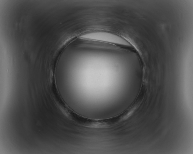 X0000082980109200703020306