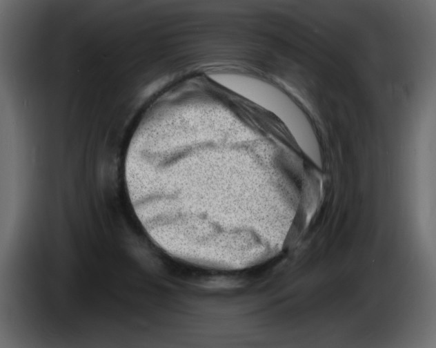 X0000082980111200703020306