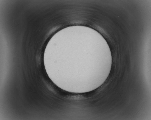 X0000082980112200703020306