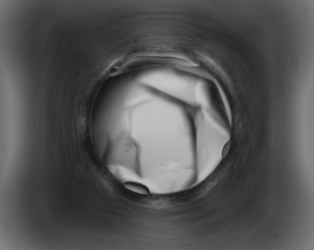X0000082980113200703020306