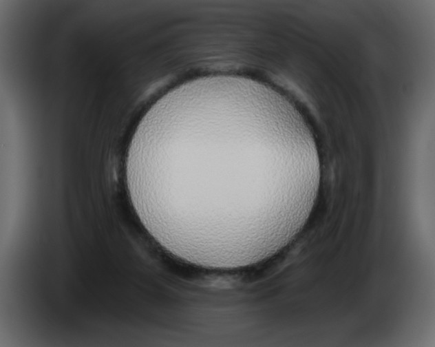 X0000082980115200703020306