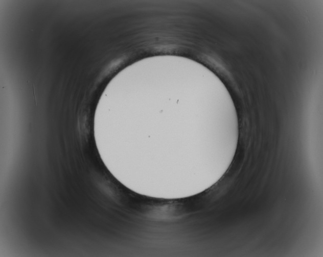 X0000082980116200703020306