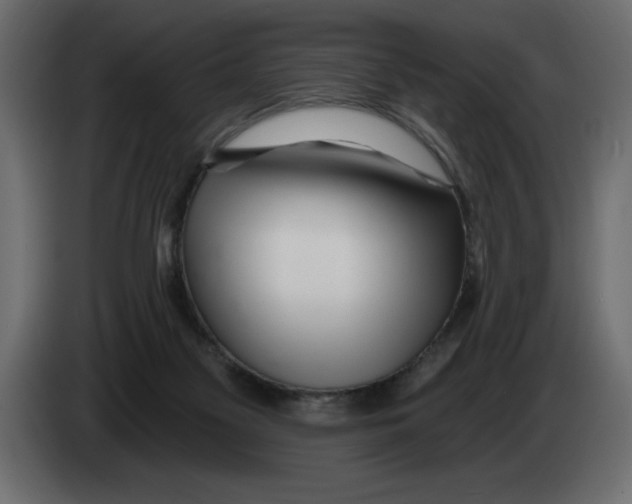 X0000082980117200703020306