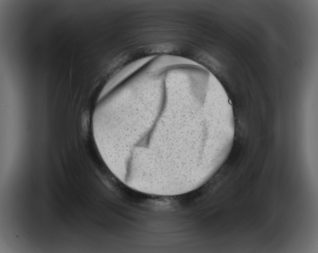 X0000082980118200703020306