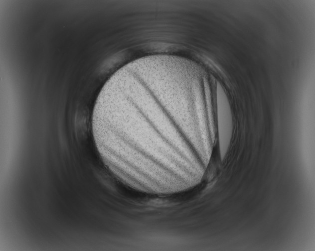 X0000082980119200703020306