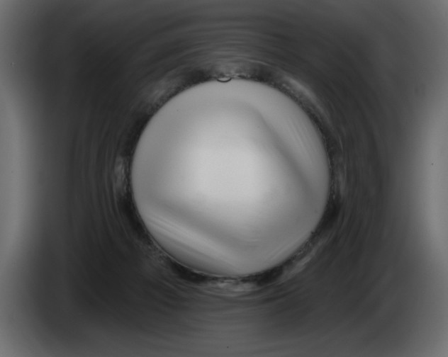 X0000082980121200703020306