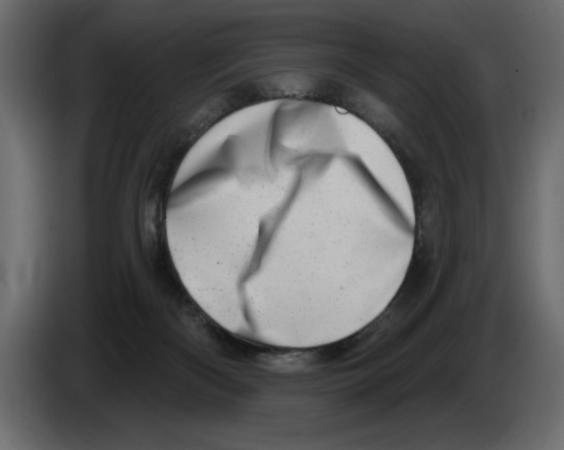 X0000082980122200703020306