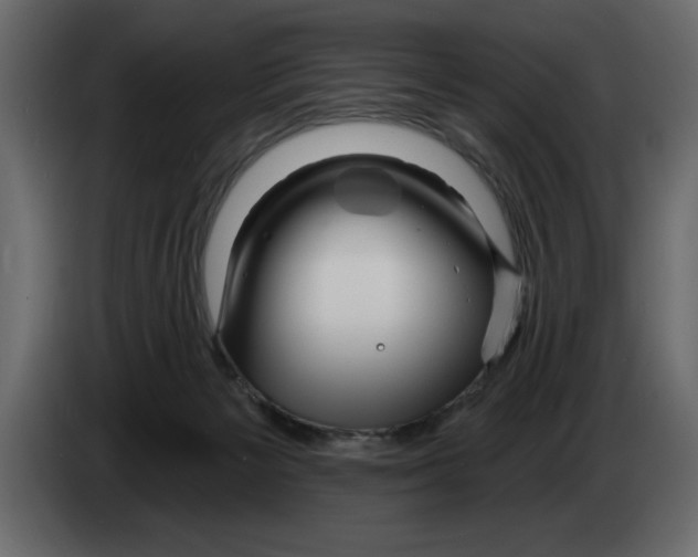 X0000082980125200703020305