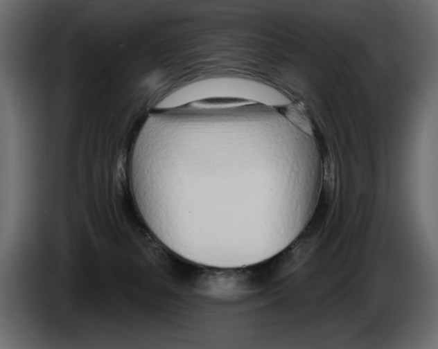 X0000082980127200703020305