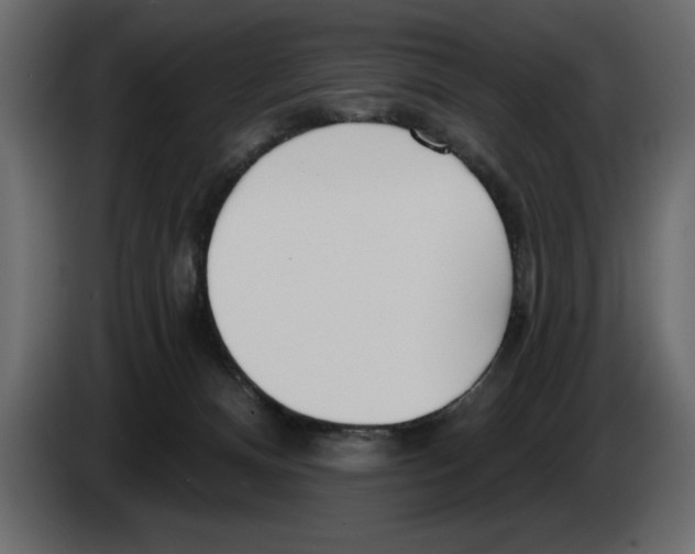 X0000082980128200703020305