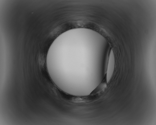 X0000082980129200703020305