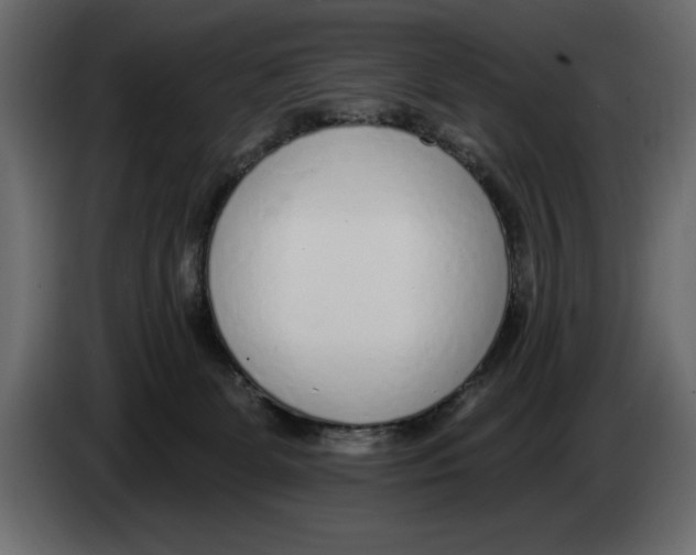 X0000082980131200703020305