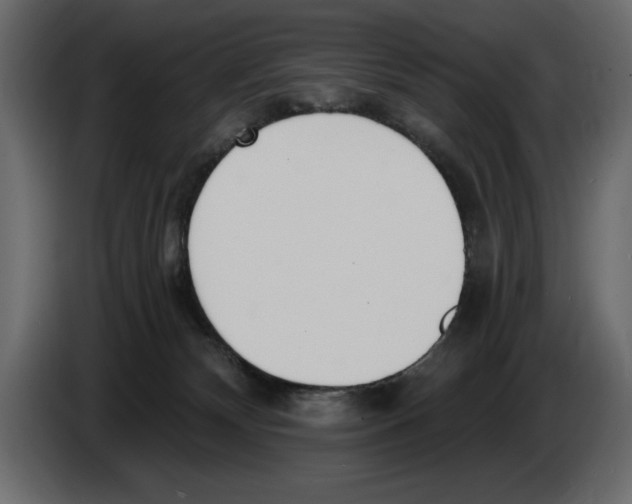 X0000082980132200703020305