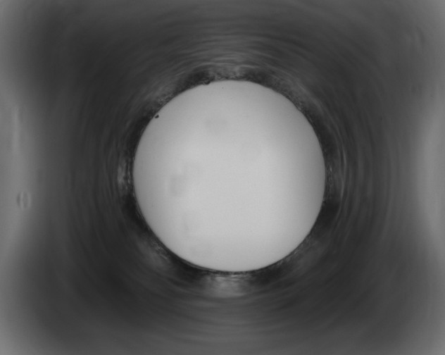 X0000082980134200703020305