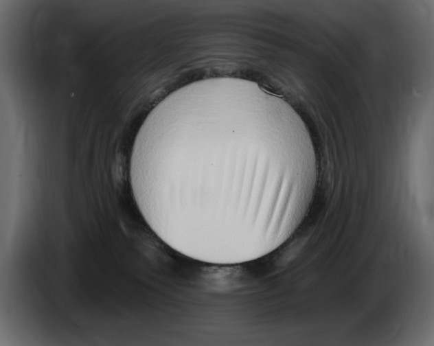 X0000082980135200703020305