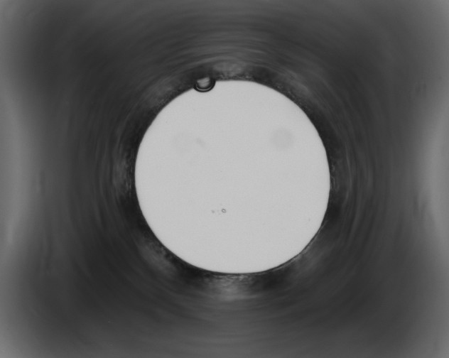X0000082980136200703020305