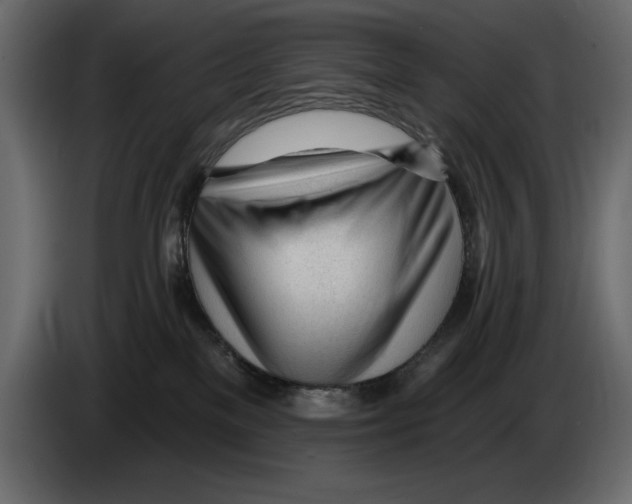 X0000082980137200703020305