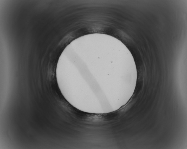 X0000082980140200703020305