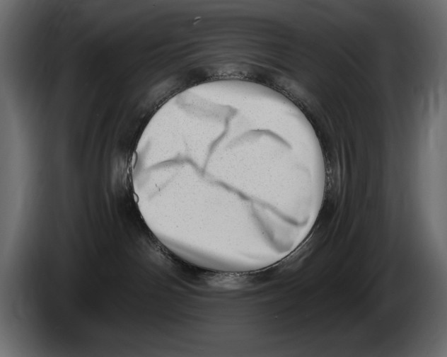 X0000082980142200703020305