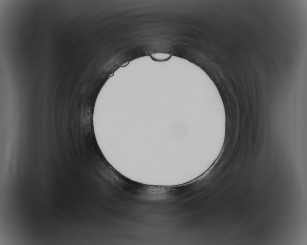 X0000082980144200703020305