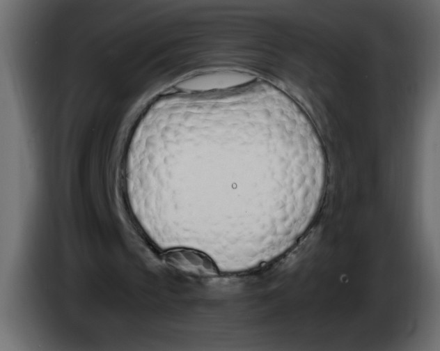 X0000082980145200703020304