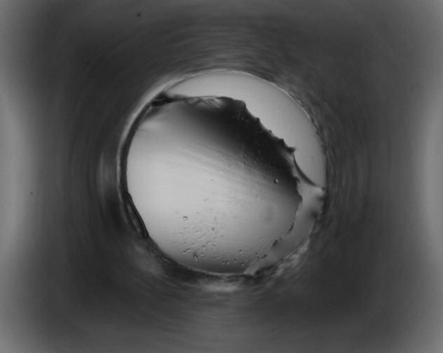 X0000082980148200703020304