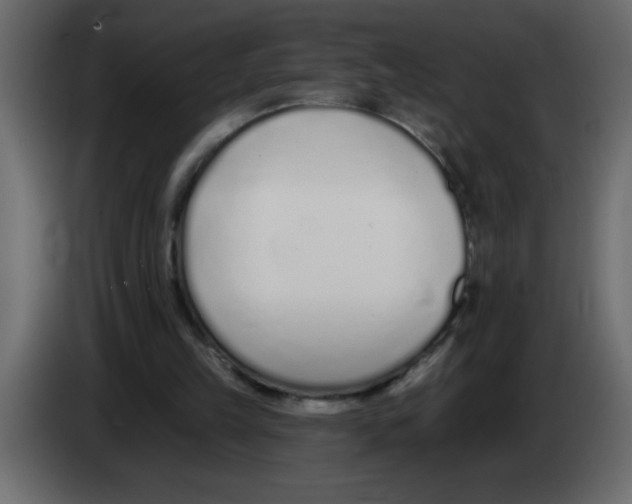 X0000082980149200703020304