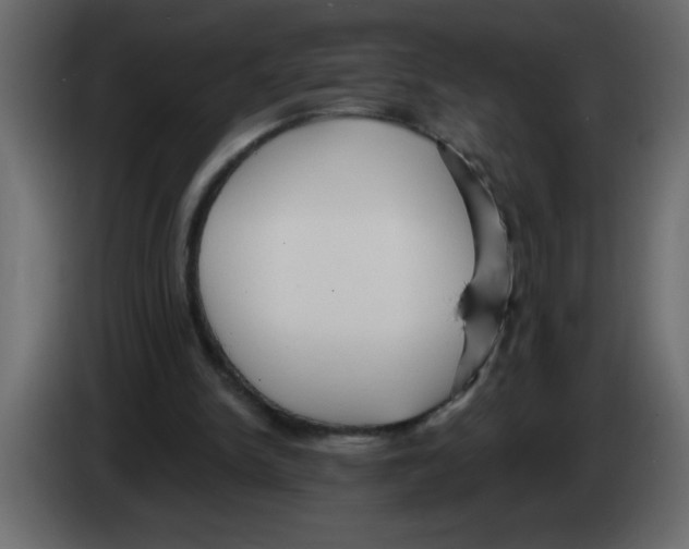 X0000082980150200703020304