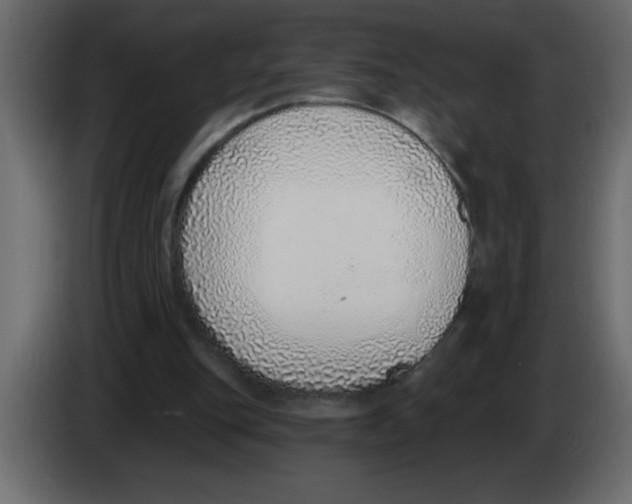X0000082980151200703020304