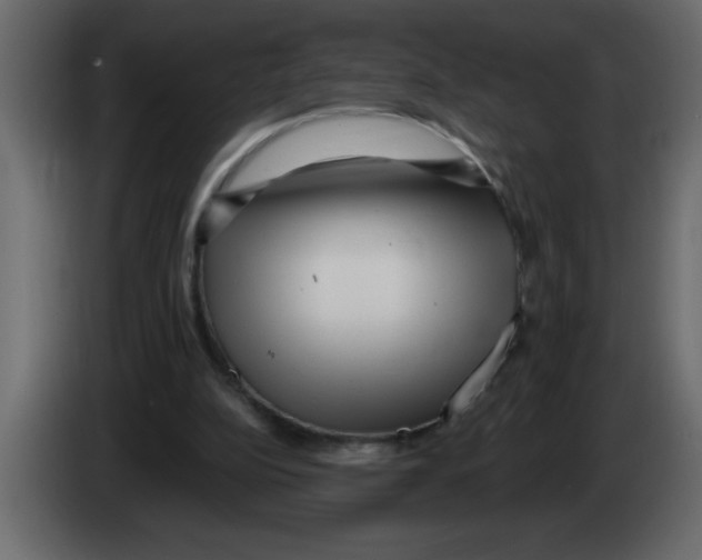 X0000082980152200703020304