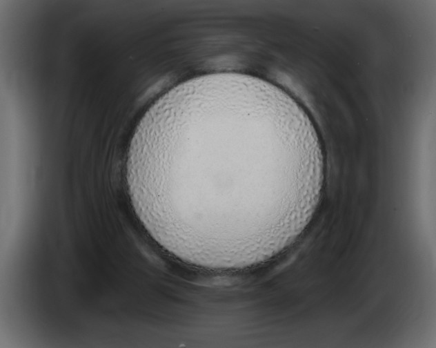 X0000082980153200703020304