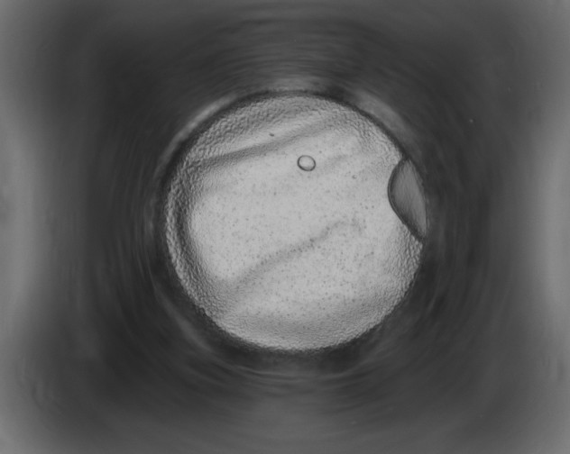 X0000082980155200703020304