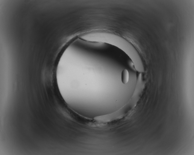 X0000082980156200703020305