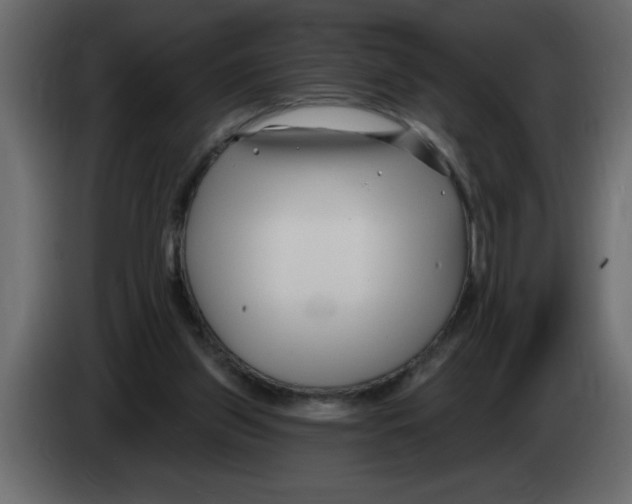X0000082980157200703020305