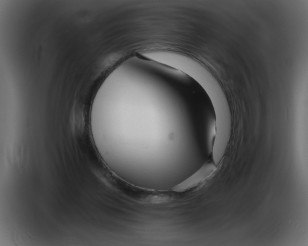 X0000082980158200703020305