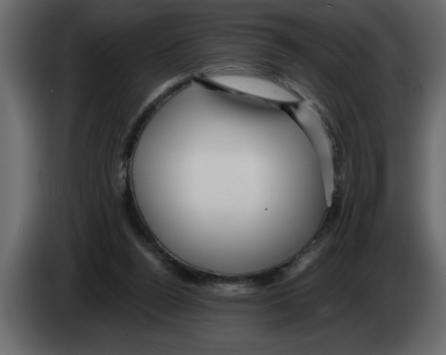X0000082980160200703020305
