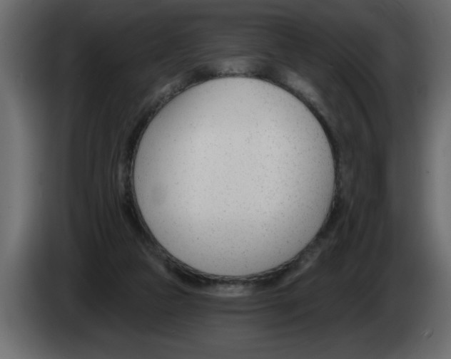 X0000082980161200703020305