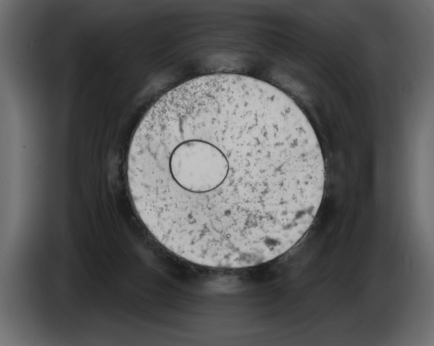 X0000082980162200703020305