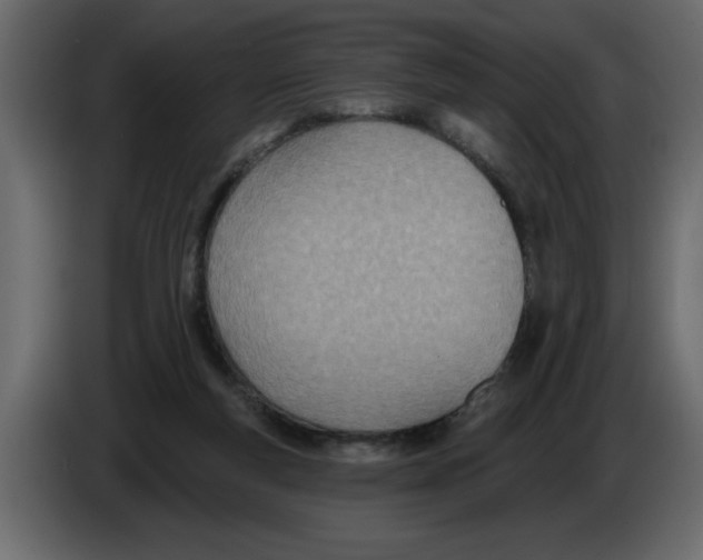 X0000082980163200703020305