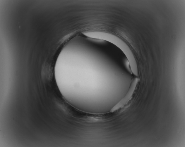 X0000082980164200703020305